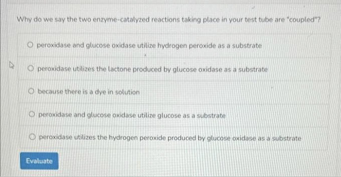 Why do we say the two enzyme-catalyzed reactions taking place in your test tube are "coupled"?
O peroxidase and glucose oxidase utilize hydrogen peroxide as a substrate
O peroxidase utilizes the lactone produced by glucose oxidase as a substrate
O because there is a dye in solution
O peroxidase and glucose oxidase utilize glucose as a substrate
Operoxidase utilizes the hydrogen peroxide produced by glucose oxidase as a substrate
Evaluate