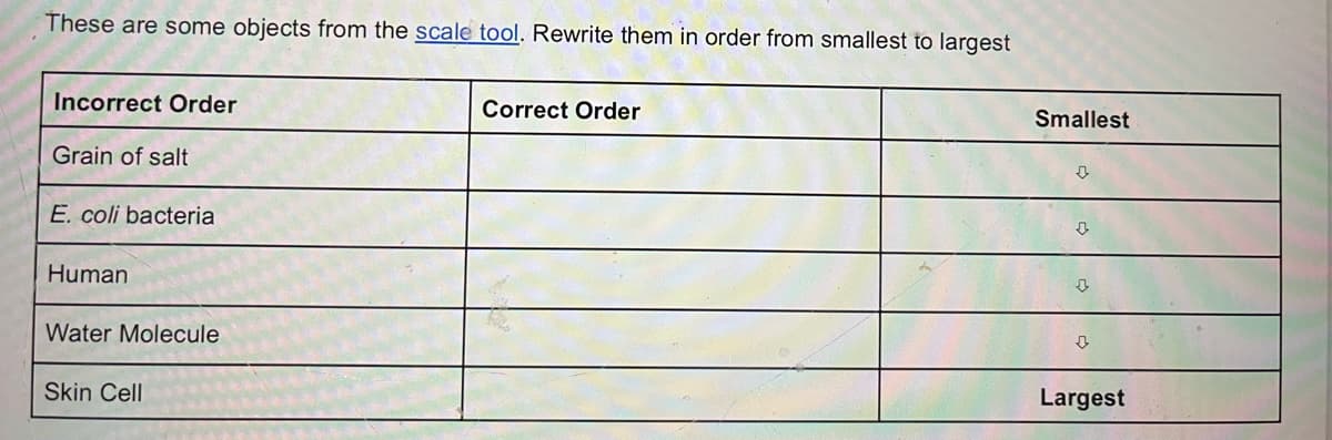 These are some objects from the scale tool. Rewrite them in order from smallest to largest
Incorrect Order
Grain of salt
E. coli bacteria
Human
Water Molecule
Skin Cell
Correct Order
Smallest
↓
Largest