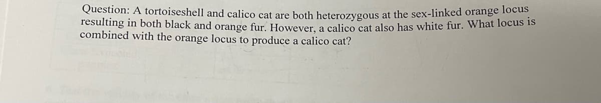 Question: A tortoiseshell and calico cat are both heterozygous at the sex-linked orange locus
resulting in both black and orange fur. However, a calico cat also has white fur. What locus is
combined with the orange locus to produce a calico cat?