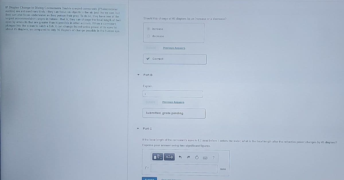 IP Diopter Change in Diving Cormorants Double-crested cormorants (Phalacrocorax
auntus) are extraordinary birds - they can focus on objects in the air, just like we can but
they can also focus underwater as they pursue their prey To do so, they have one of the
largest accommodation ranges in nature - thal is, they can change the focal length of their
eyes by amounts that are grealer than is possible in olher animals. When a cormorant
plunges into the ocean to calch a fish, it can change the refractive power of its eyes by
about 45 diopters, as compared to only 16 diopters of change possible in the human eye.
Should this change of 45 dioplers be an increase or a decrease?
increase
O decrease
Submi
Previous Answers
Correct
Part B
Explain.
1
Submit
Previous Answers
Submitted, grade pending
Part C
If the focal length of the cormorant's eyes is 4.2 mm before it enters the water, what is the focal length after the refractive power changes by 45 diopters?
Express your answer using two significant figures.
f =
mmi
Suhmit
Requast oDruor
