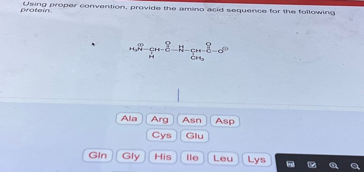 Using proper convention, provide the amino acid sequence for the following
protein.
Gln
H3N-CH
-CH-8-N-CH-8-00
CH3
Ala
Arg
Asn Asp
Glu
Cys
Gly His lle Leu
Lys
Q