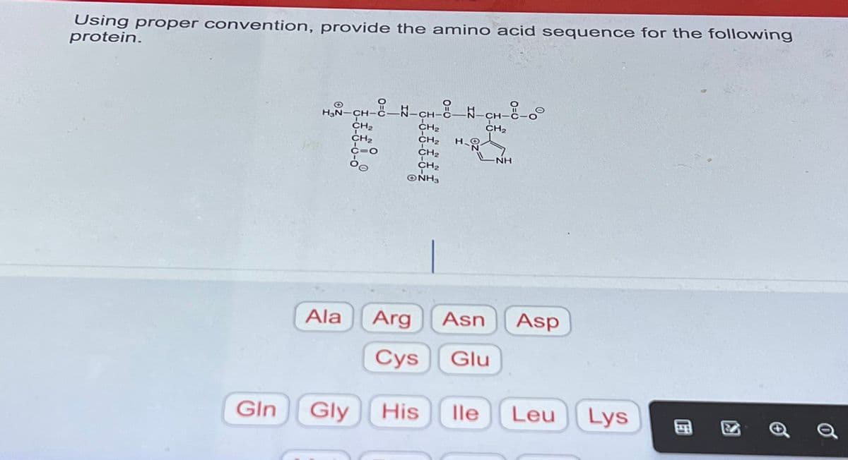 Using proper convention, provide the amino acid sequence for the following
protein.
Gln
HƠN CHỞNCHONCH C
CH₂
CH₂
CH₂
17
Ala
Gly
CH₂
CH₂
c=o
bo
CH₂
CH₂
ⒸNH3
H.
Arg
Cys Glu
NH
Asn Asp
His lle Leu
Lys