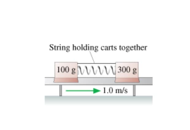 String holding carts together
100 WWW300 g
1.0 m/s
