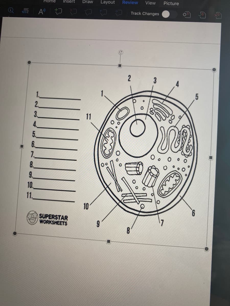 Insert
Draw
Layout
Review
View
Picture
Home
A
Track Changes
123三
2
3
1.
2
3
4
5.
6.
1.
8.
9
10.
11.
11
10
RIhSUPERSTAR
WORKSHEETS
