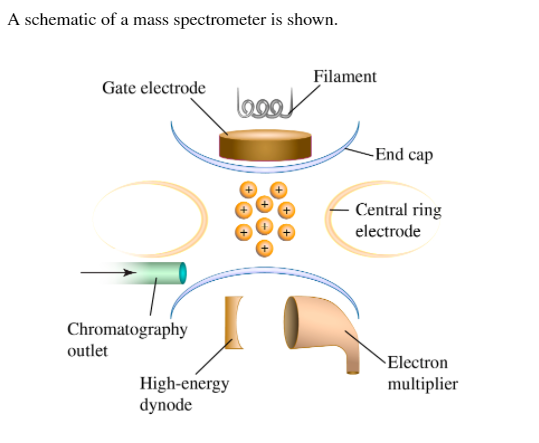 A schematic of a mass spectrometer is shown.
Filament
Gate electrode
-End cap
Central ring
electrode
Chromatography
outlet
Electron
High-energy
dynode
multiplier
