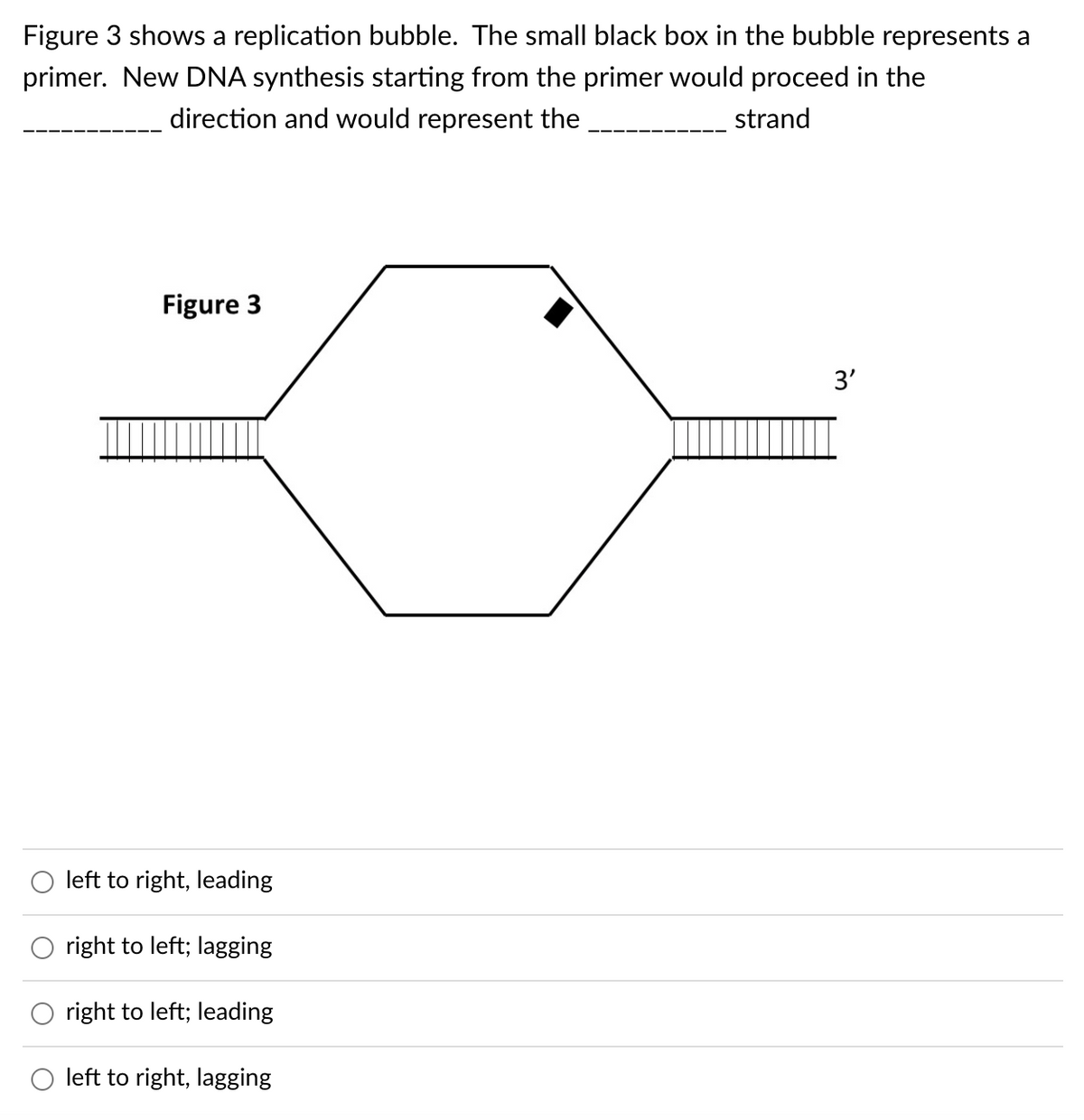 Figure 3 shows a replication bubble. The small black box in the bubble represents a
primer. New DNA synthesis starting from the primer would proceed in the
direction and would represent the
strand
Figure 3
3'
left to right, leading
right to left; lagging
right to left; leading
left to right, lagging
