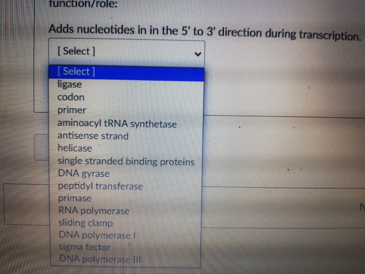 function/role:
Adds nucleotides in in the 5' to 3' direction during transcription.
[ Select ]
[ Select ]
ligase
codon
primer
aminoacyl tRNA synthetase
antisense strand
helicase
single stranded binding proteins
DNA gyrase
peptidyl transferase
primase
RNA polymerase
sliding clamp
DNA polymerase I
sigma factor
DNA polymcrasc III
