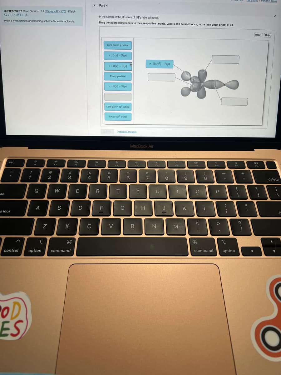 MISSED THIS? Read Section 11.7 (Pages 457-470); Watch
KCV 11.7, WE 11.8.
Write a hybridization and bonding scheme for each molecule.
ab
esc
.
s lock
!
POD
ES
1
*
FI
Q
A
Z
I
control option
@
2
*
*
F2
W
S
#
3
X
H
command
80
F3
E
D
$
4
C
F4
Part H
In the sketch of the structure of BF, label all bonds.
Drag the appropriate labels to their respective targets. Labels can be used once, more than once, or not at all.
R
F
Lone pair in p orbital
*: B(p) - F(p)
o: B(s)-F(p)
Empty p orbital
o: B(p)-F(p)
Lone pair in ap orbital
Empty sp² orbital
%
5
V
Previous Answers
T
G
MacBook Air
^
6
B
Y
o: B(p¹)-F(p)
H
&
7
44
57
U
N
*
8
J
DII
FR
1
M
(
9
K
DD
O
<
I
)
O
L
F10
P
:
;
I
FW
command option
{
[
+
=
?
T
Istars Penodic Table
Reset Help
}
1
delete
re