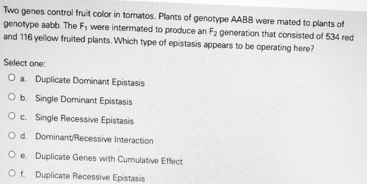 Two genes control fruit color in tomatos. Plants of genotype AABB were mated to plants of
genotype aabb. The F, were intermated to produce an F2 generation that consisted of 534 red
and 116 yellow fruited plants. Which type of epistasis appears to be operating here?
Select one:
O a. Duplicate Dominant Epistasis
O b. Single Dominant Epistasis
O c. Single Recessive Epistasis
O d. Dominant/Recessive Interaction
O e. Duplicate Genes with Cumulative Effect
O f. Duplicate Recessive Epistasis
