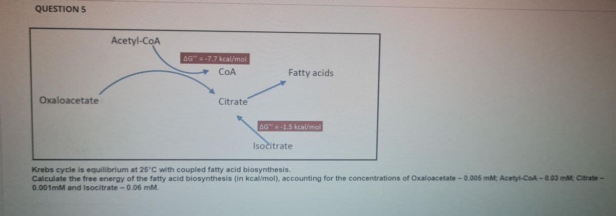 QUESTION 5
Acetyl-CoA
AG" = -7.7 kcal/mol
CoA
Fatty acids
Oxaloacetate
Citrate
AG" = -1.5 kcal/mol
Isocitrate
Krebs cycle is equilibrium at 25°C with coupled fatty acid biosynthesis.
Calculate the free energy of the fatty acid biosynthesis (in kcal/mol), accounting for the concentrations of Oxaloacetate-0.005 mM; Acetyl-CoA-0.03 mM; Citrate-
0.001mM and Isocitrate- 0.06 mM.
