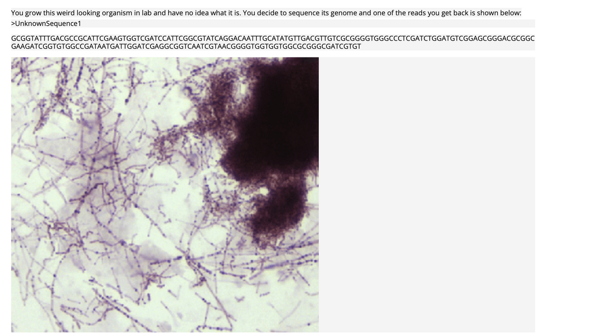 You grow this weird looking organism in lab and have no idea what it is. You decide to sequence its genome and one of the reads you get back is shown below:
>UnknownSequence1
GCGGTATTTGACGCCGCATTCGAAGTGGTCGATCCATTCGGCGTATCAGGACAATTTGCATATGTTGACGTTGTCGCGGGGTGGGCCCTCGATCTGGATGTCGGAGCGGGACGCGGC
GAAGATCGGTGTGGCCGATAATGATTGGATCGAGGCGGTCAATCGTAACGGGGTGGTGGTGGCGCGGGCGATCGTGT
