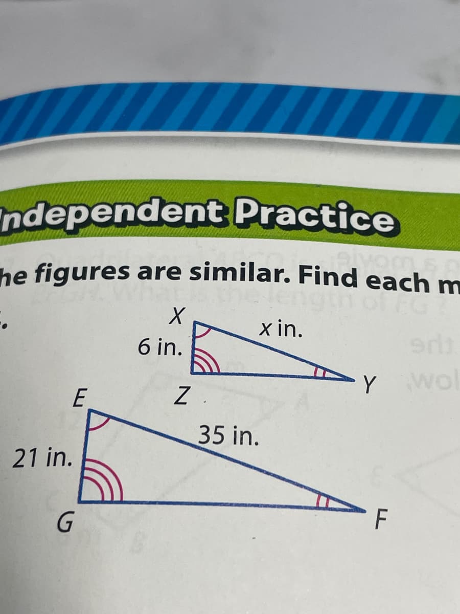 ndependent Practice
The figures are similar. Find each m
X
6 in.
E
21 in.
G
Z.
x in.
35 in.
Y
F
Wol