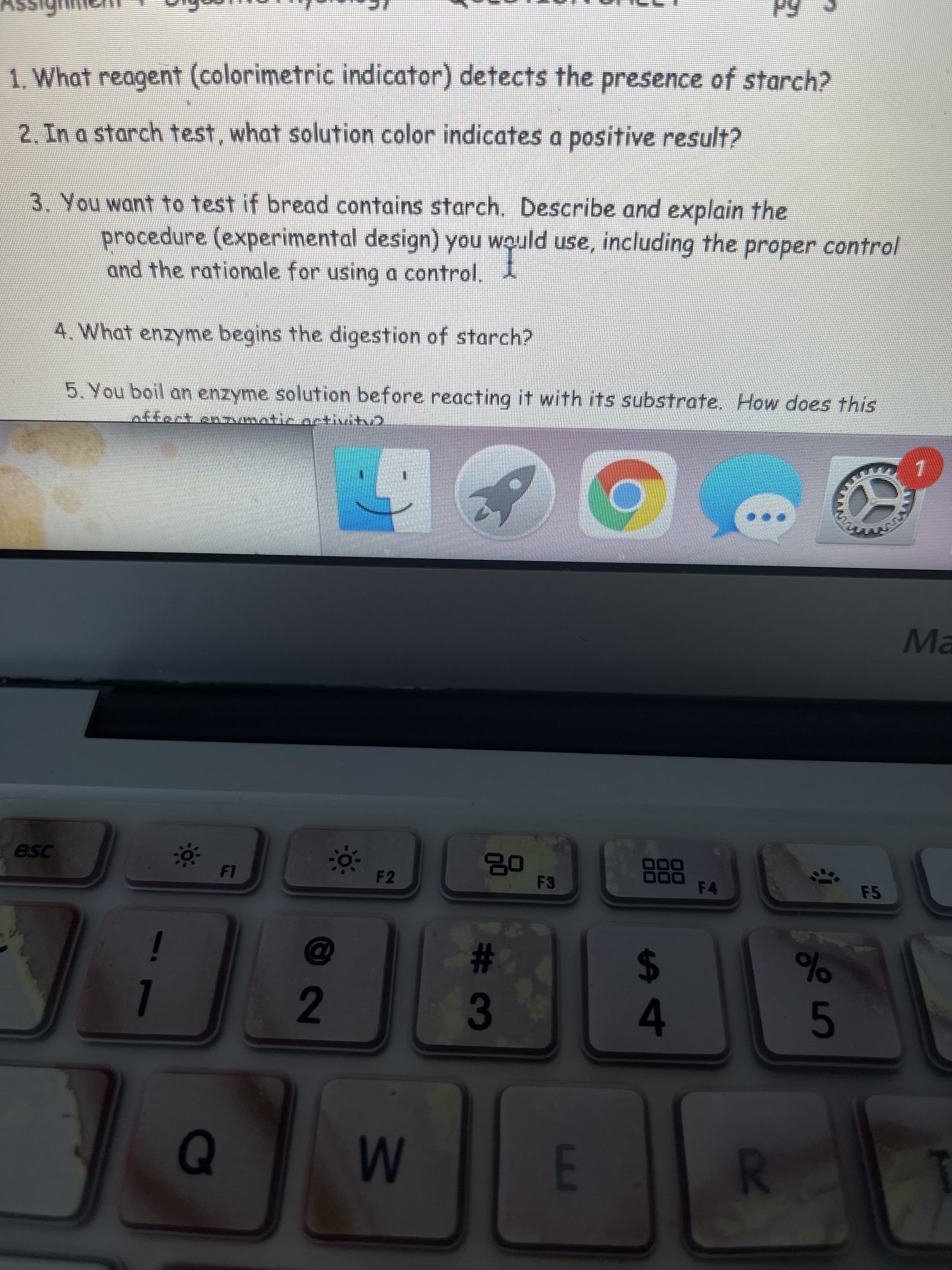 %23
12
1. What reagent (colorimetric indicator) detects the presence of starch?
2. In a starch test, what solution color indicates a positive result?
3. You want to test if bread contains starch. Describe and explain the
procedure (experimental design) you would use, including the proper control
and the rationale for using a control,
4. What enzyme begins the digestion of starch?
5. You boil an enzyme solution before reacting it with its substrate, How does this
Ma
esc
F2
F3
F4
F5
24
3.
4.
M
