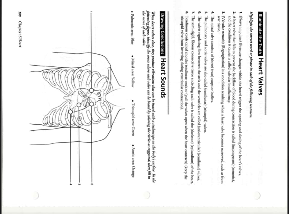 lluminate the Truth Heart Valves
Highlight the correct word or phrase in each of the following sentences.
1. (Nerve impulses) (Pressure changes within the heart) trigger the opening and closing of the heart's valves.
2. A heart valve that fails to prevent the backflow of blood during contraction is called (incompetent) (stenotic),
and the condition it causes is called valvular insufficiency.
3. (Valvular stenosis) (Regurgitation) is a condition resulting when a heart valve becomes narrowed, such as from
scar tissue.
4. The mitral valve consists of (three) (rwo) cusps or leaflets.
5. The pulmonary and aortic valves are also called (semilunar) (tricuspid) valves.
6. The valves regulating flow between the atria and the ventricles are called (atrioventricular) (semilunar) valves.
7. The semi-rigid, fibrous connective tissue encircling each valve is called the (skeleton) (epicardium) of the heart.
8. Tendinous cords called chordae tendinecae work to (pull the valves open when the heart contracts) (keep the
tricuspid valve from inverting during ventricular contraction).
Drawing Conclusions Heart Sounds
When heart valves close, they produce vibrations that can be heard with a stethoscope on the body's surface. In the
following figure, identify the areas where cach valve can be heard by coloring the circles as suggested; then fill in
the name of each valve.
• Pulmonic arca: Blue
• Mitral area: Yellow
• Tricuspid area: Green . Aortic area: Orange
188 Chapter 15 Heart
