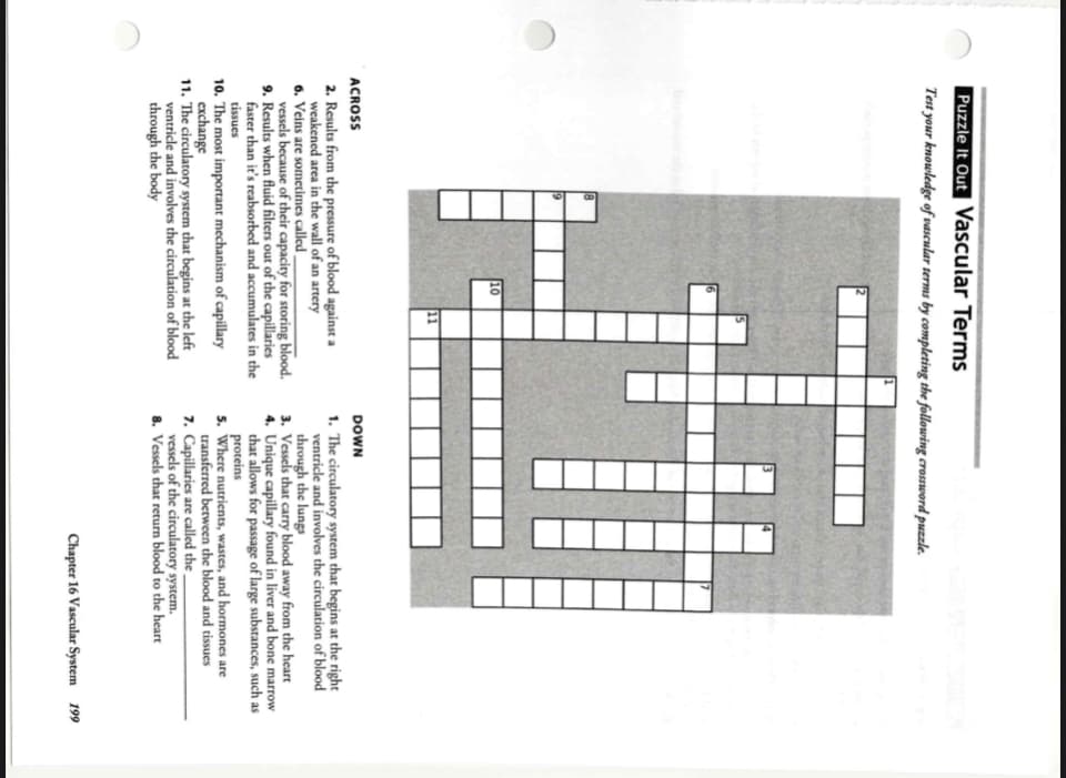 Puzzle It Out Vascular Terms
Test your knowledge of vascular terms by completing the following crossword puzzle.
8
10
ACROSS
DOWN
2. Results from the pressure of blood against a
weakened area in the wall of an artery
6. Veins are sometimes called ,
vessels because of their capacity for storing blood.
9. Results when fluid filters out of the capillaries
faster than it's reabsorbed and accumulates in the
1. The circulatory system that begins at the right
ventricle and involves the circulation of blood
through the lungs
3. Vessels that carry blood away from the heart
4. Unique capillary found in liver and bone marrow
that allows for passage of large substances, such as
proteins
5. Where nutrients, wastes, and hormones are
transferred between the blood and tissues
7. Capillaries are called the
vessels of the circulatory system.
8. Vessels that return blood to the heart
tissues
10. The most important mechanism of capillary
exchange
11. The circulatory system that begins at the left
ventricle and involves the circulation of blood
through the body
Chapter 16 Vascular System 199
