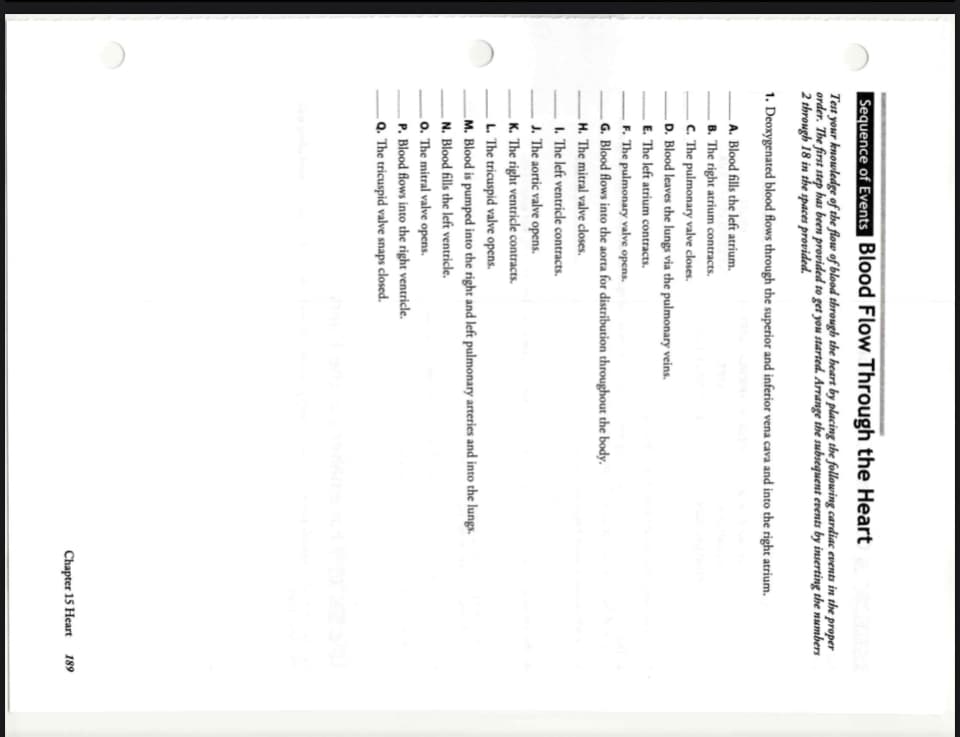 Sequence of Events Blood Flow Through the Heart
Test your knowledge of the flow of blood through the heart by placing the following cardiac events in the proper
order. The first step has been provided to get you started. Arrange the subsequent events by inserting the numbers
2 through 18 in the spaces provided.
1. Deoxygenated blood flows through the superior and inferior vena cava and into the right atrium.
A. Blood fills the left atrium.
B. The right atrium contracts.
- C. The pulmonary valve closes.
D. Blood leaves the lungs via the pulmonary veins.
E. The left atrium contracts.
F. The pulmonary valve opens.
G. Blood flows into the aorta for distribution throughout the body.
H. The mitral valve closes.
1. The left ventricle contracts.
J. The aortic valve opens.
K. The right ventricle contracts.
L. The tricuspid valve opens.
M. Blood is pumped into the right and left pulmonary arteries and into the lungs.
N. Blood fills the left ventricle.
O. The mitral valve opens.
P. Blood flows into the right ventricle.
Q. The tricuspid valve snaps closed.
Chapter 15 Heart 189
