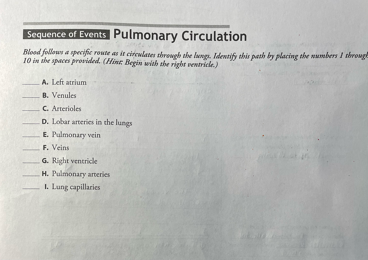 Sequence of Events Pulmonary Circulation
Blood follows a specific route as it circulates through the lungs. Identify this path by placing the numbers 1 through
10 in the spaces provided. (Hint: Begin with the right ventricle.)
A. Left atrium
B. Venules
C. Arterioles
D. Lobar arteries in the lungs
E. Pulmonary vein
F. Veins
G. Right ventricle
H. Pulmonary arteries
I. Lung capillaries
