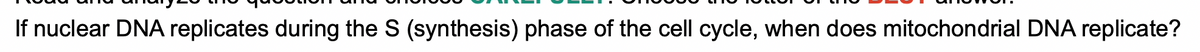 If nuclear DNA replicates during the S (synthesis) phase of the cell cycle, when does mitochondrial DNA replicate?