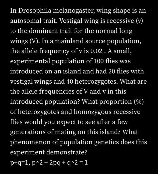 In Drosophila melanogaster, wing shape is an
autosomal trait. Vestigal wing is recessive (v)
to the dominant trait for the normal long
wings (V). In a mainland source population,
the allele frequency of v is 0.02 . A small,
experimental population of 100 flies was
introduced on an island and had 20 flies with
vestigal wings and 40 heterozygotes. What are
the allele frequencies of V and v in this
introduced population? What proportion (%)
of heterozygotes and homozygous recessive
flies would you expect to see after a few
generations of mating on this island? What
phenomenon of population genetics does this
experiment demonstrate?
p+q=1, p^2+ 2pq + q^2 = 1
