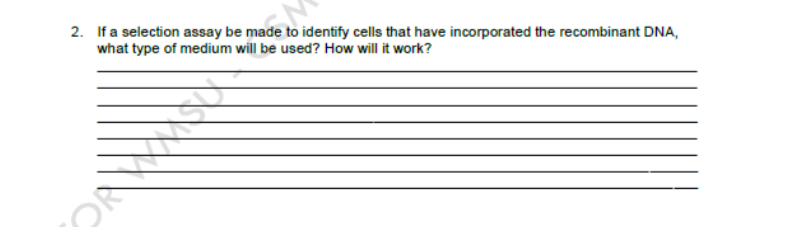 2. If a selection assay be made to identify cells that have incorporated the recombinant DNA,
what type of medium will be used? How will it work?
dreamstime
