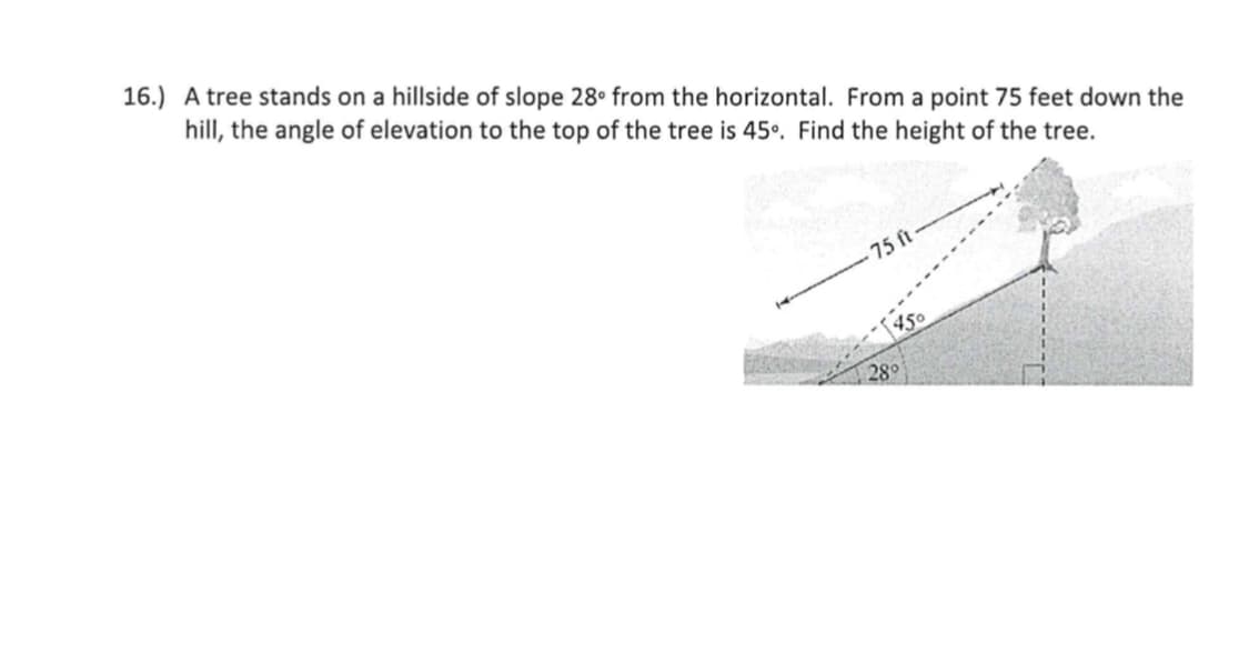 16.) A tree stands on a hillside of slope 28° from the horizontal. From a point 75 feet down the
hill, the angle of elevation to the top of the tree is 45°. Find the height of the tree.
75 ft-
450
280
