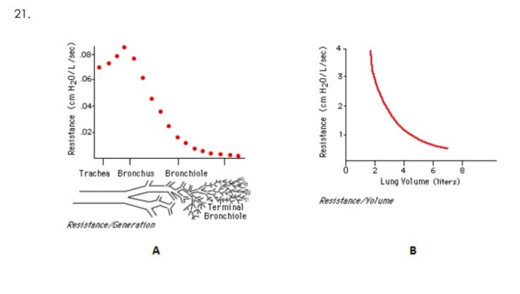 21.
06-
04
02
8
Trachea Bronchus Bronchiole
Lung Yolume (liters)
Resistance Yolume
Terminal
Bronchiole
Resistance Generation
A
в
Resistance (cm H20/L /sec)
Resistance (cm H20/L/sec)
