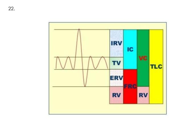 22.
IRV
IC
VC
TV
TLC
ERV
FRC
RV
RV
