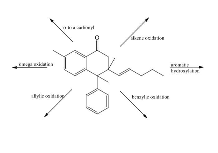 a to a carbonyl
alkene oxidation
omega oxidation
aromatic
hydroxylation
allylic oxidation
benzylic oxidation
