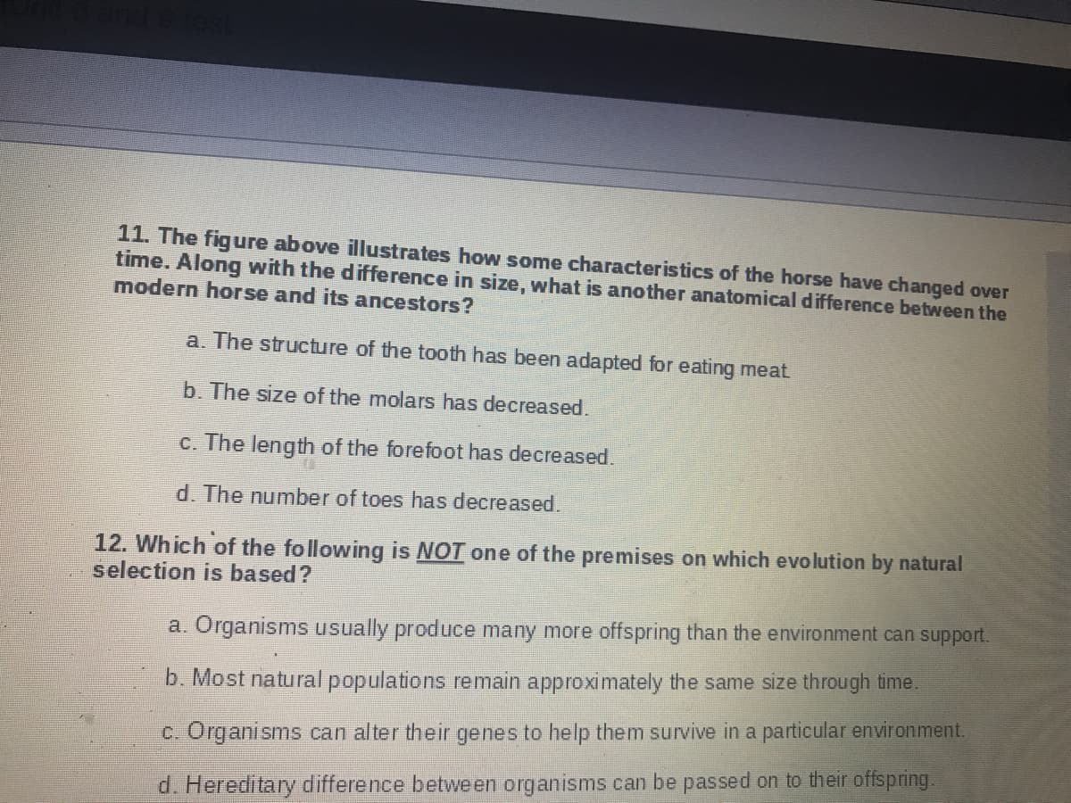 11. The figure above illustrates how some characteristics of the horse have changed over
time. Along with the difference in size, what is another anatomical difference between the
modern horse and its ancestors?
a. The structure of the tooth has been adapted for eating meat
b. The size of the molars has decreased.
c. The length of the forefoot has decreased.
d. The number of toes has decreased.
12. Wh ich of the following is NOT one of the premises on which evo lution by natural
selection is based?
a. Organisms usually produce many more offspring than the environment can support.
b. Most natural populations remain approximately the same size through time.
c. Organisms can alter their genes to help them survive in a particular environment.
d. Hereditary difference betwe en organisms can be passed on to their offspring.

