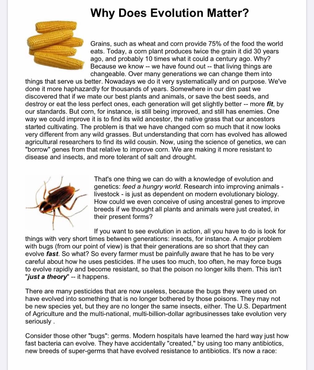 Why Does Evolution Matter?
Grains, such as wheat and corn provide 75% of the food the world
eats. Today, a corn plant produces twice the grain it did 30 years
ago, and probably 10 times what it could a century ago. Why?
Because we know -- we have found out -- that living things are
changeable. Over many generations we can change them into
things that serve us better. Nowadays we do it very systematically and on purpose. We've
done it more haphazardly for thousands of years. Somewhere in our dim past we
discovered that if we mate our best plants and animals, or save the best seeds, and
destroy or eat the less perfect ones, each generation will get slightly better -- more fit, by
our standards. But corn, for instance, is still being improved, and still has enemies. One
way we could improve it is to find its wild ancestor, the native grass that our ancestors
started cultivating. The problem is that we have changed corn so much that it now looks
very different from any wild grasses. But understanding that corn has evolved has allowed
agricultural researchers to find its wild cousin. Now, using the science of genetics, we can
"borrow" genes from that relative to improve corn. We are making it more resistant to
disease and insects, and more tolerant of salt and drought.
That's one thing we can do with a knowledge of evolution and
genetics: feed a hungry world. Research into improving animals -
livestock - is just as dependent on modern evolutionary biology.
How could we even conceive of using ancestral genes to improve
breeds if we thought all plants and animals were just created, in
their present forms?
If you want to see evolution in action, all you have to do is look for
things with very short times between generations: insects, for instance. A major problem
with bugs (from our point of view) is that their generations are so short that they can
evolve fast. So what? So every farmer must be painfully aware that he has to be very
careful about how he uses pesticides. If he uses too much, too often, he may force bugs
to evolve rapidly and become resistant,
"just a theory" -- it happens.
that the
son no longer kills them. This isn't
There are many pesticides that are now useless, because the bugs they were used on
have evolved into something that is no longer bothered by those poisons. They may not
be new species yet, but they are no longer the same insects, either. The U.S. Department
of Agriculture and the multi-national, multi-billion-dollar agribusinesses take evolution very
seriously .
Consider those other "bugs": germs. Modern hospitals have learned the hard way just how
fast bacteria can evolve. They have accidentally "created," by using too many antibiotics,
new breeds of super-germs that have evolved resistance to antibiotics. It's now a race:
