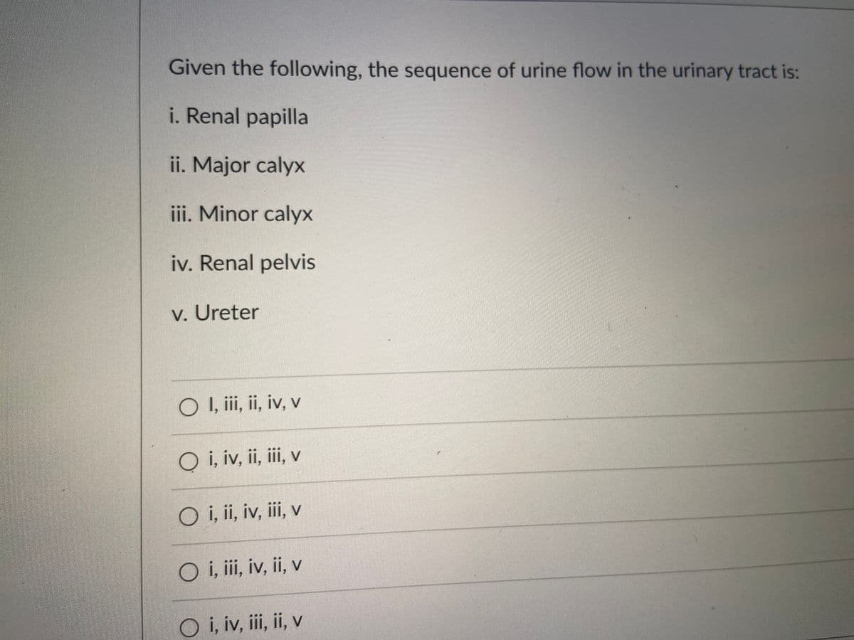 Given the following, the sequence of urine flow in the urinary tract is:
i. Renal papilla
ii. Major calyx
iii. Minor calyx
iv. Renal pelvis
v. Ureter
O ,ii, i, iv, v
Q i, iv, ii, ii, v
O i, i, iv, ii, v
O i, ii, iv, ii, v
O i, iv, i, ii, v
