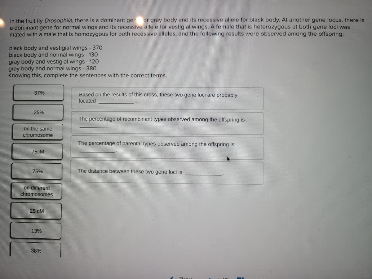 In the fruit fly Drosophila, there is a dominant gen or gray body and its recessive allele for black body. At another gene locus, there is
a dominant gene for normal wings and its recessive allele for vestigial wings. A female that is heterozygous at both gene loci was
mated with a male that is homozygous for both recessive alleles, and the following results were observed among the offspring:
black body and vestigial wings - 370
black body and normal wings - 130
gray body and vestigial wings - 120
gray body and normal wings -380
Knowing this, complete the sentences with the correct terms.
37%
Based on the results of this cross, these two gene loci are probably
located
25%
The percentage of recombinant types observed among the offspring is
on the same
chromosome
The percentage of parental types observed among the offspring is
75CM
75%
The distance between these two gene loci is
on different
chromosomes
25 cM
13%
38%
