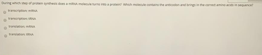 Juring which step of protein synthesis does a MRNA molecule turns into a protein? Which molecule contains the anticodon and brings in the correct amino acids in sequence?
transcription: MRNA
transcription: tRNA
translation: MRNA
translation: tRNA
