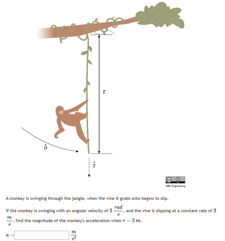 a
i
m
r
A monkey is swinging through the jungle, when the vine it grabs onto begins to slip.
rad
If the monkey is swinging with an angular velocity of 2 and the vine is slipping at a constant rate of 2
3
8
m
find the magnitude of the monkey's acceleration when 7 = 2 m.
8
UBC Engineering