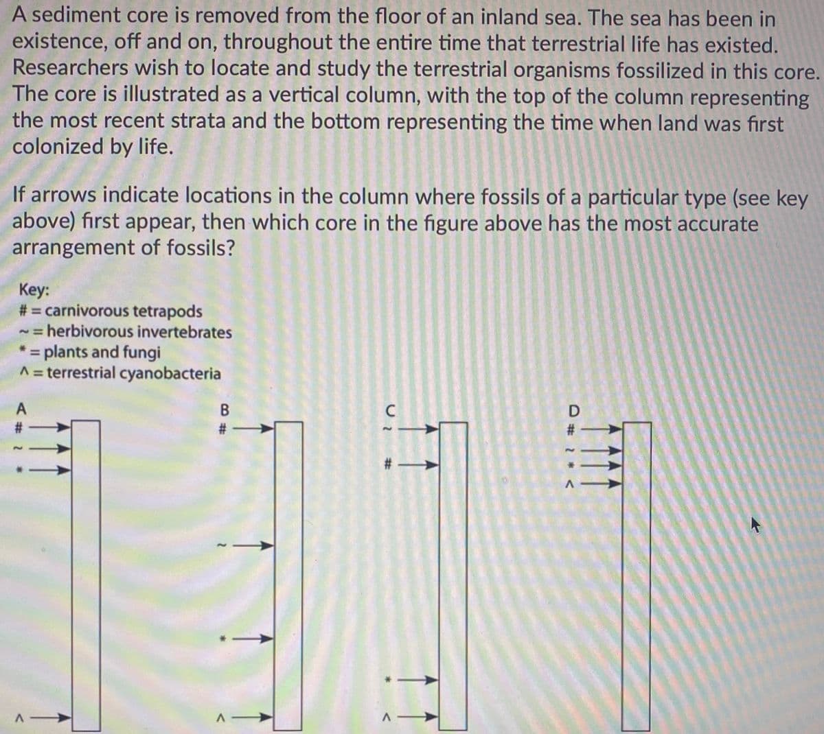 A sediment core is removed from the floor of an inland sea. The sea has been in
existence, off and on, throughout the entire time that terrestrial life has existed.
Researchers wish to locate and study the terrestrial organisms fossilized in this core.
The core is illustrated as a vertical column, with the top of the column representing
the most recent strata and the bottom representing the time when land was first
colonized by life.
If arrows indicate locations in the column where fossils of a particular type (see key
above) first appear, then which core in the figure above has the most accurate
arrangement of fossils?
Key:
# = carnivorous tetrapods
~=herbivorous invertebrates
* = plants and fungi
A = terrestrial cyanobacteria
%3D
A
# -
A
D # 2 * <
