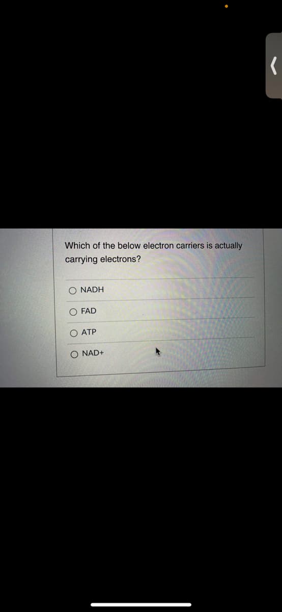 Which of the below electron carriers is actually
carrying electrons?
O NADH
O FAD
ATP
O NAD+
