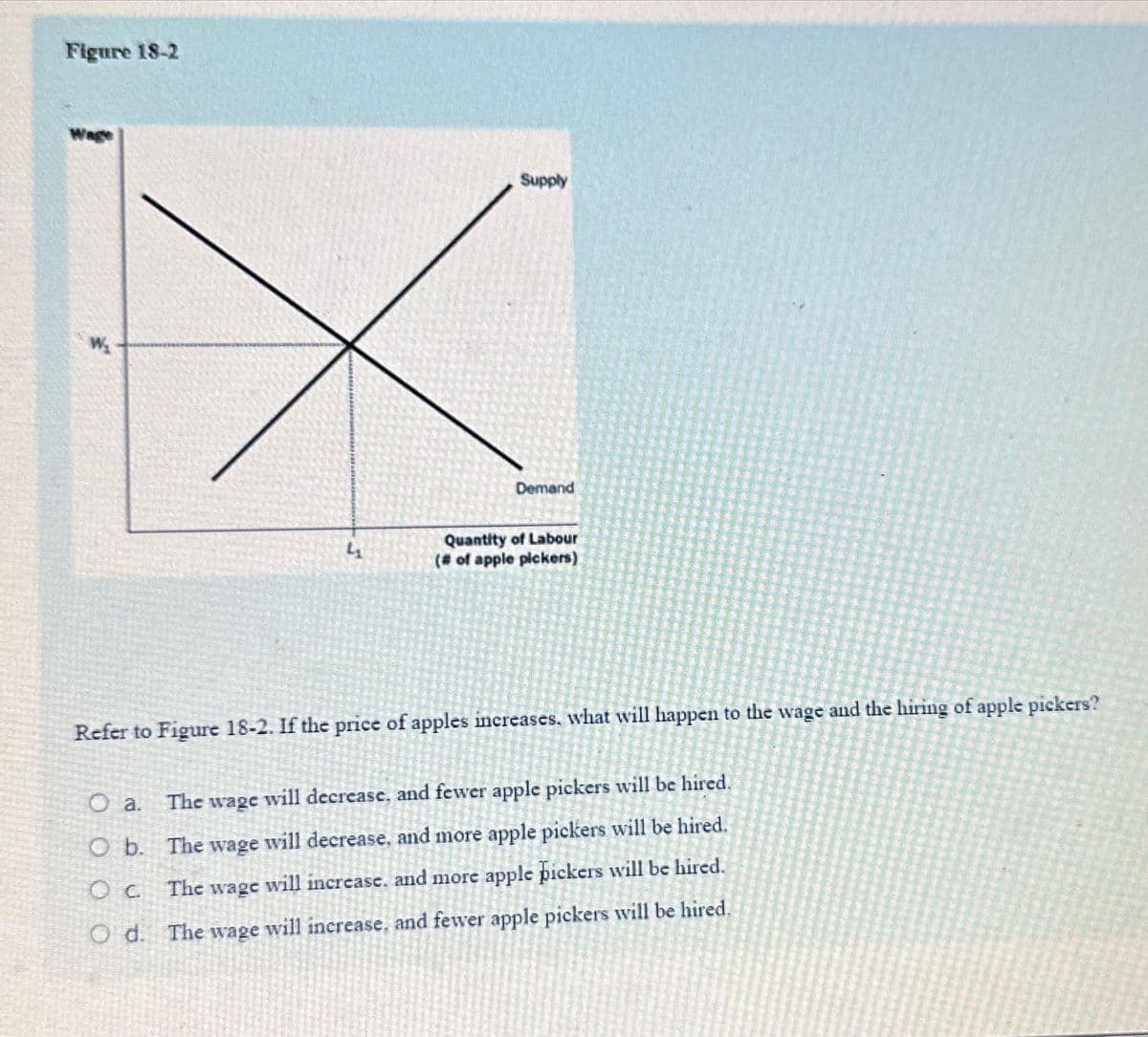 Figure 18-2
Wage
4
Supply
Demand
Quantity of Labour
(# of apple pickers)
Refer to Figure 18-2. If the price of apples increases, what will happen to the wage and the hiring of apple pickers?
O a.
The wage will decrease, and fewer apple pickers will be hired.
O b.
The wage will decrease, and more apple pickers will be hired.
О с.
The wage will increase, and more apple pickers will be hired.
Od. The wage will increase, and fewer apple pickers will be hired.