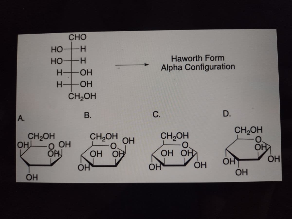 CHO
HO H
Haworth Form
Alpha Configuration
но
H.
OH
OH
CH2OH
H-
В.
C.
D.
A.
CH2OH
CH2OH
CH,OH
OH
CH,OH
OH
О Он
OH
ОН ОН
OH
OH
OH OH
OH
OH
OH
OH
OH
OH
OH
