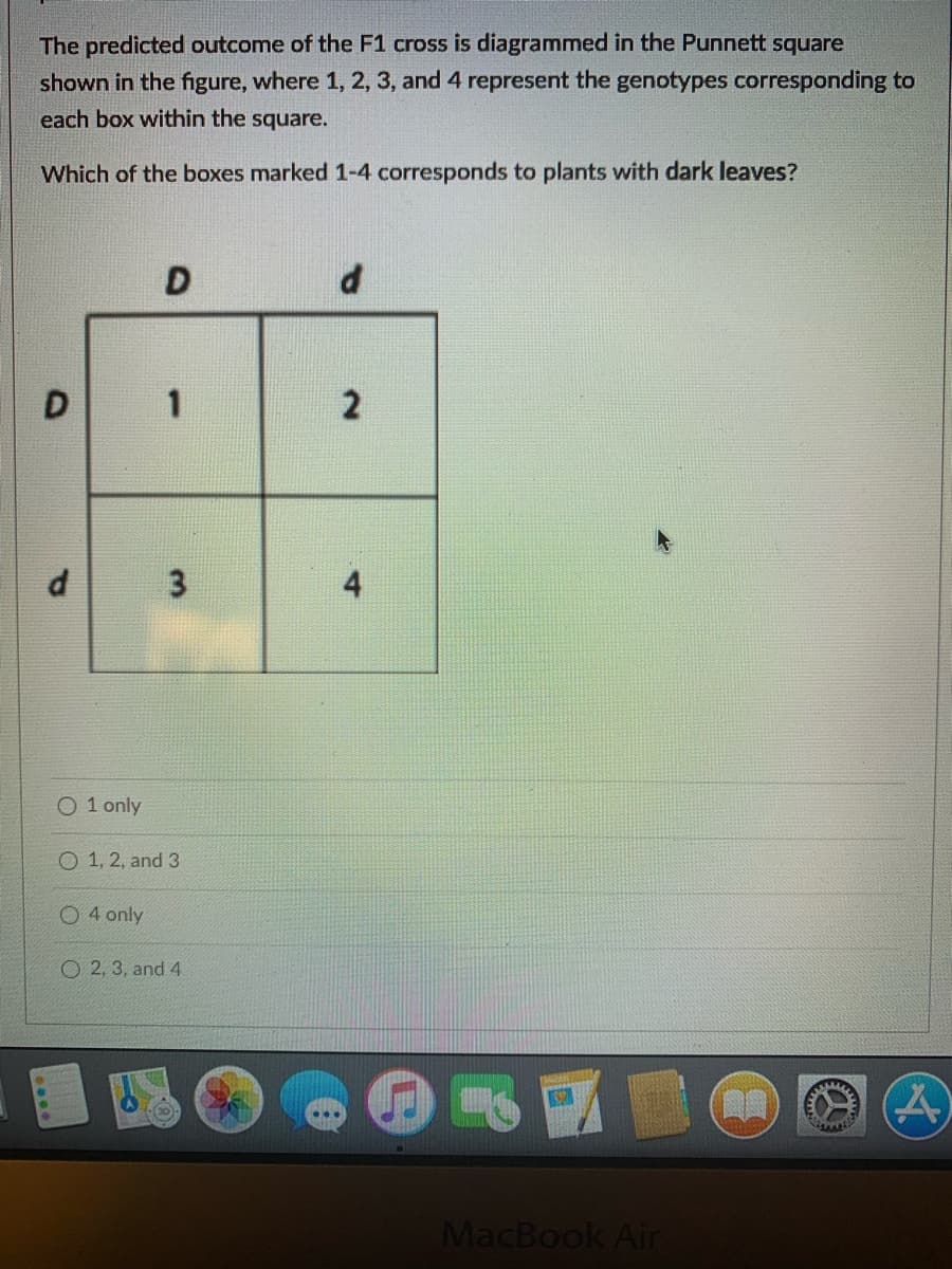 The predicted outcome of the F1 cross is diagrammed in the Punnett square
shown in the figure, where 1, 2, 3, and 4 represent the genotypes corresponding to
each box within the square.
Which of the boxes marked 1-4 corresponds to plants with dark leaves?
2
O 1 only
O 1, 2, and 3
O4 only
O 2, 3, and 4
(30
MacBook Air
4.
3.
of
