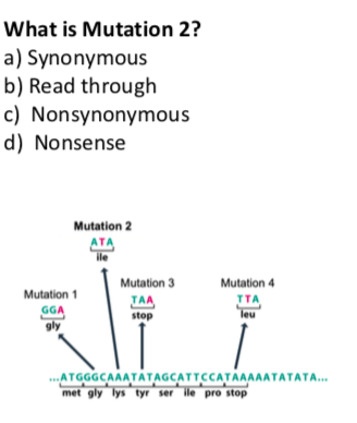 What is Mutation 2?
a) Synonymous
b) Read through
c) Nonsynonymous
d) Nonsense
Mutation 2
ATA
ile
Mutation 3
Mutation 4
Mutation 1
TAA
stop
TTA
leu
GGA
gly
ATGGGCAAATATAGCATTCCATAAAAATATATA..
met gly lys tyr ser ile pro stop
