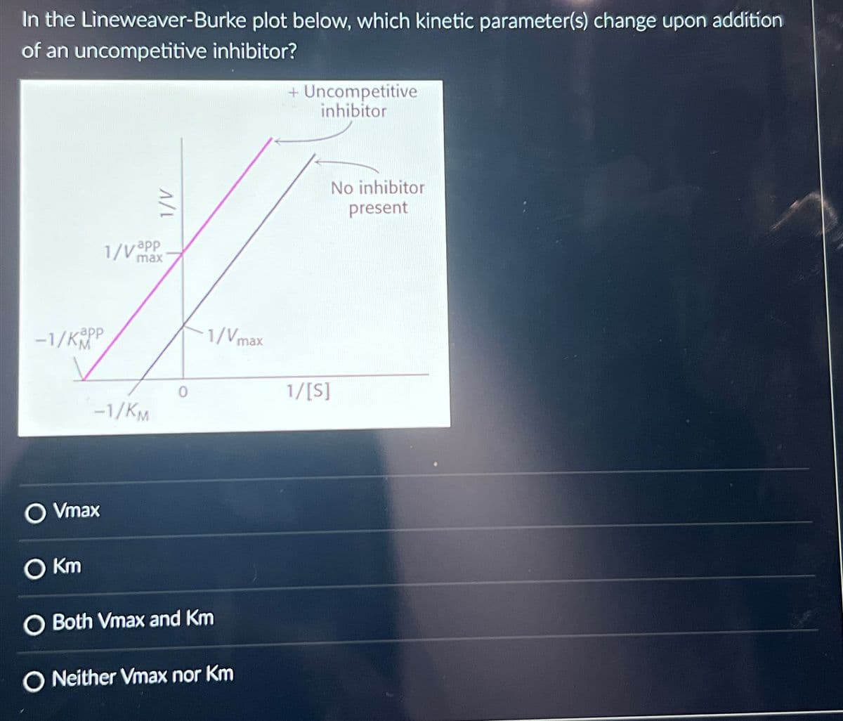 In the Lineweaver-Burke plot below, which kinetic parameter(s) change upon addition
of an uncompetitive inhibitor?
-1/KOPP
1/Vapp
max
-1/KM
O Vmax
O Km
1/V
-1/Vmax
Both Vmax and Km
O Neither Vmax nor Km
+ Uncompetitive
inhibitor
No inhibitor
present
1/[S]