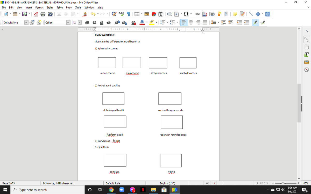 I BIO-103-LAB-WORKSHEET-3_BACTERIAL_MORPHOLOGY.docx - Trio Office Writer
File Edit View Insert Format Styles
Table Form Tools Window Help
Abç
#
a a a ab ah
& a
三、三军三E
Default Style
Calibri
12
I 1 I II
Guide Questions:
Illustrate the different forms of bacteria.
1) Spherical - coccus
diplococcus
streptococcus
staphylococcus
mono coccus
2) Rod-shaped bacillus
club-shaped bacilli
rodswith square ends
fusiform bacilli
rods with rounded ends
3) Curved rod - spir illa
a. rigid form
Spirillum
vibrio
Page 2 of 3
143 words, 1,416 characters
Default Style
English (USA)
+
80%
8:26 AM
P Type here to search
13
15
2/6/2021
