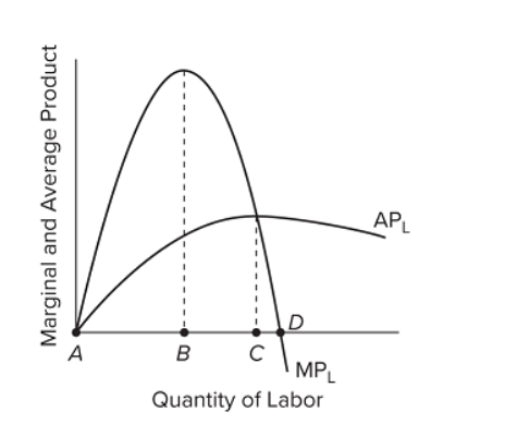 APL
%3D
A
B
MPL
Quantity of Labor
Marginal and Average Product
