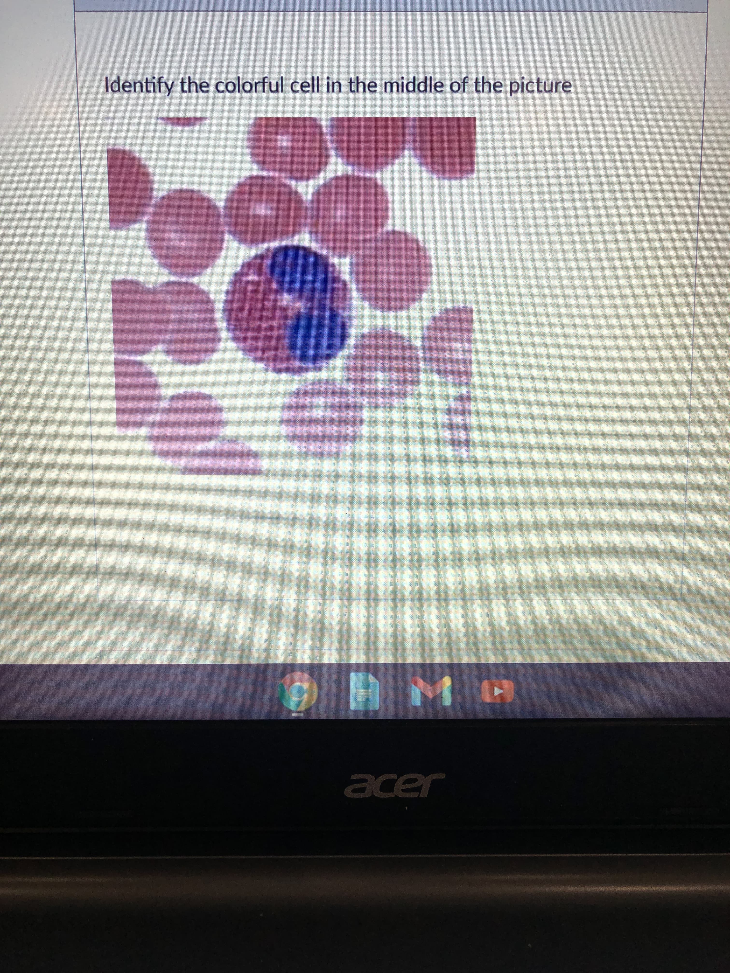 Identify the colorful cell in the middle of the picture

