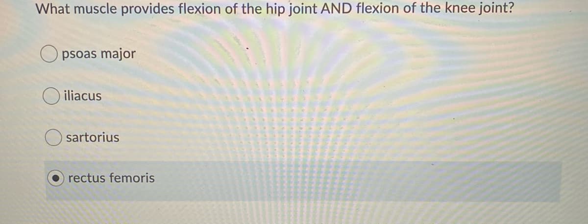 What muscle provides flexion of the hip joint AND flexion of the knee joint?
O psoas major
O iliacus
sartorius
rectus femoris
