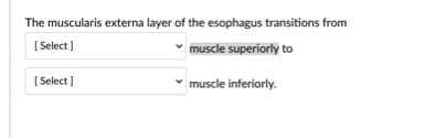 The muscularis externa layer of the esophagus transitions from
[ Select )
muscle superiorly to
[ Select ]
muscle inferiorly.
