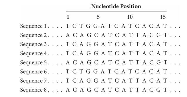 Nucleotide Position
10
15
Sequence 1.
... T CT GGATCATCACAT. ..
Sequence 2.
Sequence 3.
Sequence 4.
Sequence 5.
ACA G C AT CATTAC GT...
T C AGG AT CAT TACAT. ..
T C A GG ATCAT TACAT. ..
ACA GC ATCAT TACGT. ..
T C T G GATCATCACAT. ..
T C AGGATCATTACAT. ..
Sequence 6. .
Sequence 7.
Sequence 8.
.. ACAG CATCATTAC GT. ..
