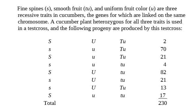 Fine spines (s), smooth fruit (tu), and uniform fruit color (u) are three
recessive traits in cucumbers, the genes for which are linked on the same
chromosome. A cucumber plant heterozygous for all three traits is used
in a testcross, and the following progeny are produced by this testcross:
Tu
Tu
70
Tu
21
tu
4
tu
82
tu
21
Tu
13
tu
17
Total
230
