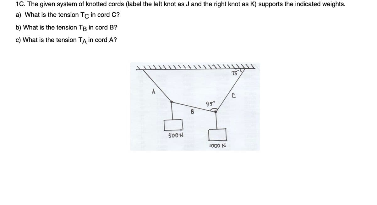 1C. The given system of knotted cords (label the left knot as J and the right knot as K) supports the indicated weights.
a) What is the tension Tc in cord C?
b) What is the tension TB in cord B?
c) What is the tension TA in cord A?
75
A
C
95
500N
1000 N
