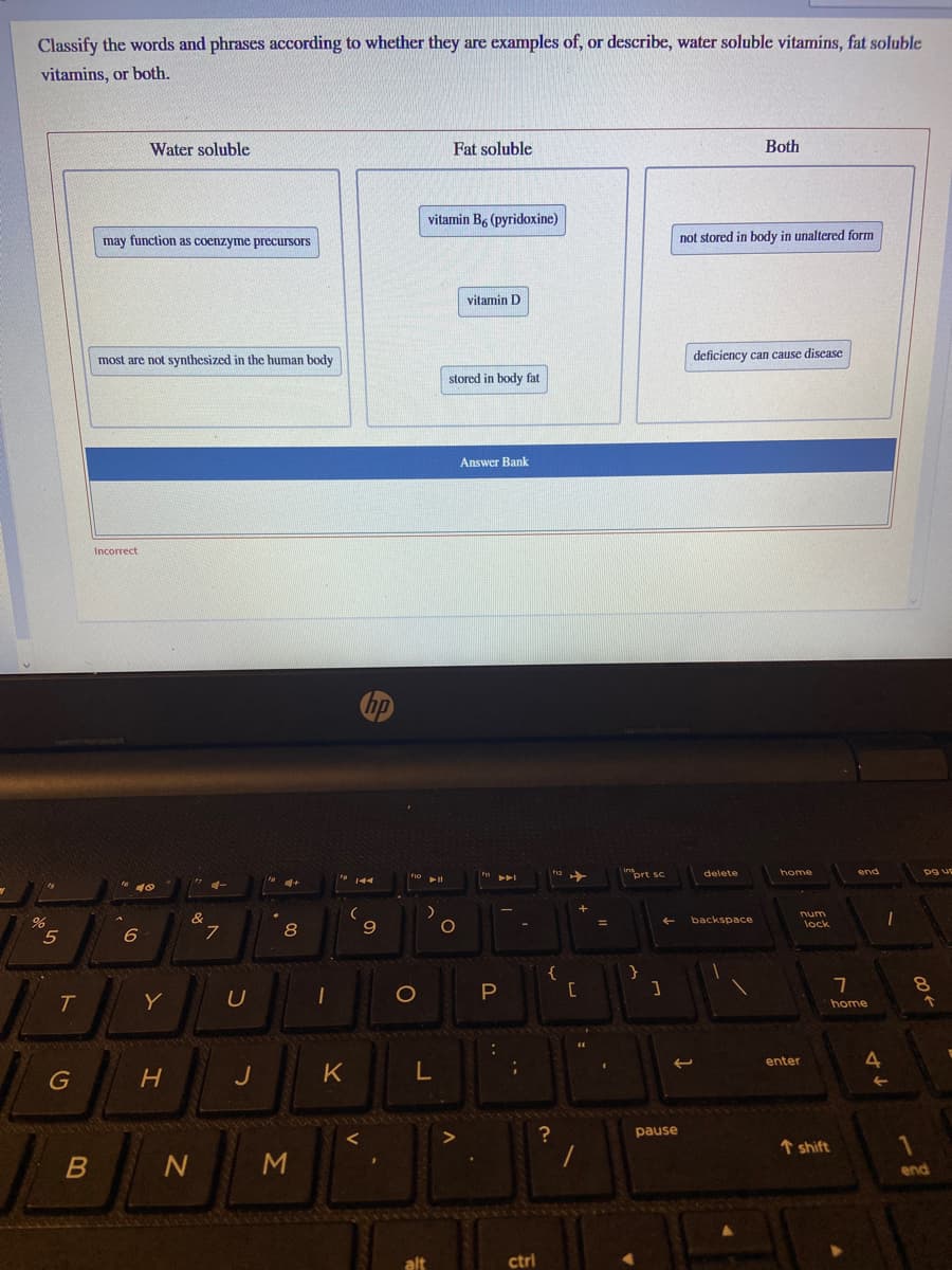 Classify the words and phrases according to whether they are examples of, or describe, water soluble vitamins, fat soluble
vitamins, or both.
Water soluble
Fat soluble
Both
vitamin B, (pyridoxine)
may function as coenzyme precursors
not stored in body in unaltered form
vitamin D
most are not synthesized in the human body
deficiency can cause discase
stored in body fat
Answer Bank
Incorrect
prt sc
end
pg up
delete
home
&
num
lock
backspace
8
{
}
T
Y
home
enter
4
K
pause
↑ shift
M
end
alt
ctrl
..
